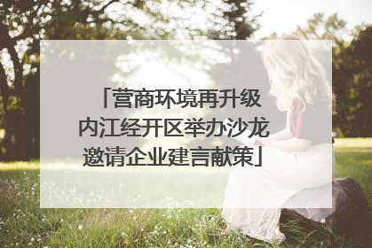 营商环境再升级 内江经开区举办沙龙邀请企业建言献策