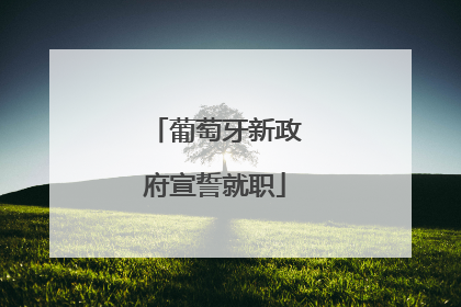 葡萄牙新政府宣誓就职