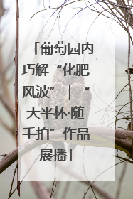 葡萄园内巧解“化肥风波”｜“天平杯·随手拍”作品展播