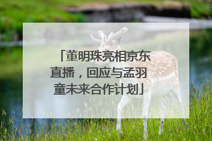 董明珠亮相京东直播，回应与孟羽童未来合作计划