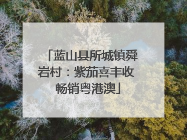 蓝山县所城镇舜岩村：紫茄喜丰收 畅销粤港澳
