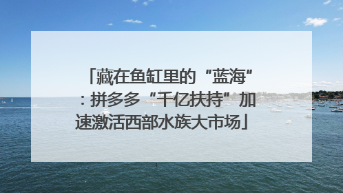 藏在鱼缸里的“蓝海”：拼多多“千亿扶持”加速激活西部水族大市场