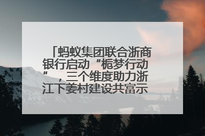 蚂蚁集团联合浙商银行启动“栀梦行动”，三个维度助力浙江下姜村建设共富示范区示范点