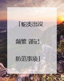 蛇类出没频繁 谨记防范事项