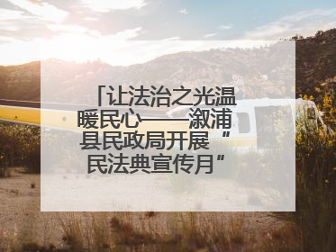 让法治之光温暖民心——溆浦县民政局开展“民法典宣传月” 普法活动