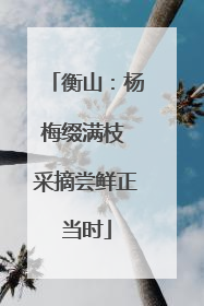 衡山：杨梅缀满枝 采摘尝鲜正当时