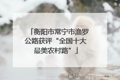 衡阳市常宁市渔罗公路获评“全国十大最美农村路”