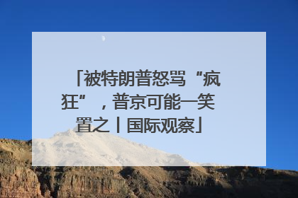 被特朗普怒骂“疯狂”，普京可能一笑置之丨国际观察