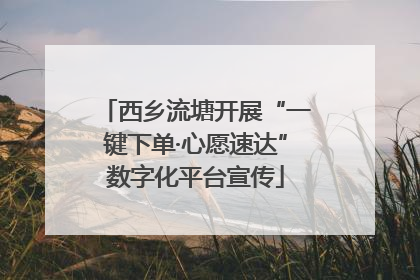 西乡流塘开展“一键下单·心愿速达”数字化平台宣传