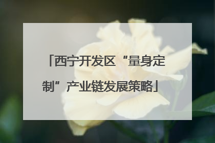 西宁开发区“量身定制”产业链发展策略