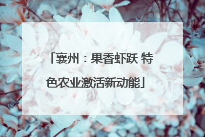 襄州：果香虾跃 特色农业激活新动能
