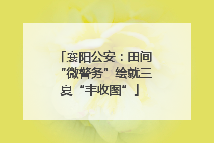 襄阳公安：田间“微警务”绘就三夏“丰收图”