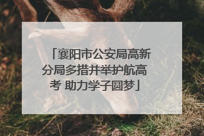 襄阳市公安局高新分局多措并举护航高考 助力学子圆梦