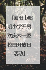 襄阳市昭明小学开展欢庆六一暨校园开放日活动