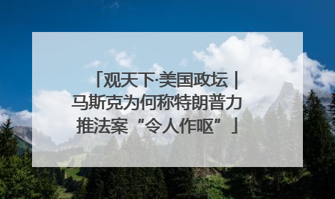 观天下·美国政坛｜马斯克为何称特朗普力推法案“令人作呕”