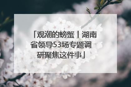 观潮的螃蟹丨湖南省领导53场专题调研聚焦这件事
