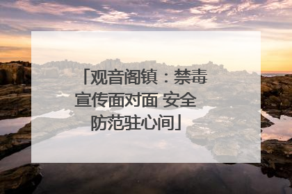 观音阁镇：禁毒宣传面对面 安全防范驻心间
