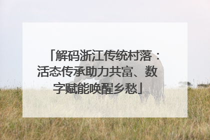 解码浙江传统村落：活态传承助力共富、数字赋能唤醒乡愁