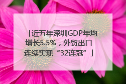 近五年深圳GDP年均增长5.5%，外贸出口连续实现“32连冠”