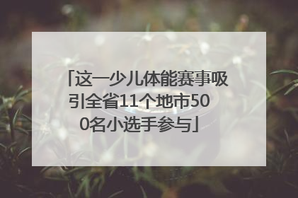 这一少儿体能赛事吸引全省11个地市500名小选手参与