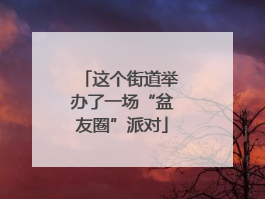 这个街道举办了一场“盆友圈”派对