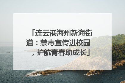 连云港海州新海街道：禁毒宣传进校园，护航青春助成长