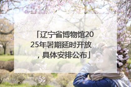 辽宁省博物馆2025年暑期延时开放，具体安排公布