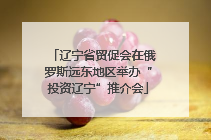 辽宁省贸促会在俄罗斯远东地区举办“投资辽宁”推介会