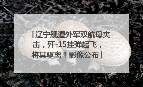 辽宁舰遭外军双航母夹击，歼-15挂弹起飞，将其驱离！影像公布