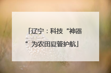 辽宁：科技“神器”为农田夏管护航