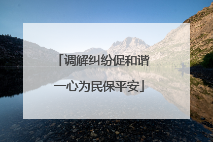 调解纠纷促和谐 一心为民保平安
