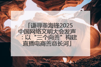 谦寻董海锋2025中国网络文明大会发声：以“三个向善”构建直播电商善意长河