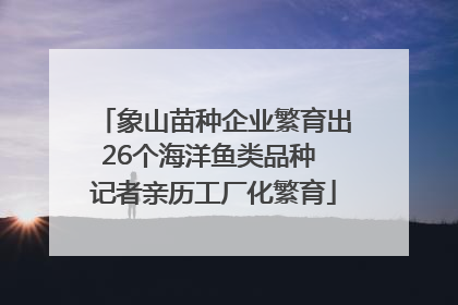 象山苗种企业繁育出26个海洋鱼类品种 记者亲历工厂化繁育