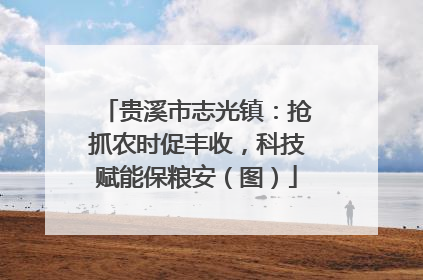 贵溪市志光镇：抢抓农时促丰收，科技赋能保粮安（图）