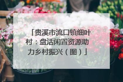 贵溪市流口镇细叶村：盘活闲置资源助力乡村振兴（图）