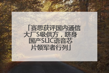 赛思获评国内通信大厂S级供方，跻身国产SLIC语音芯片领军者行列