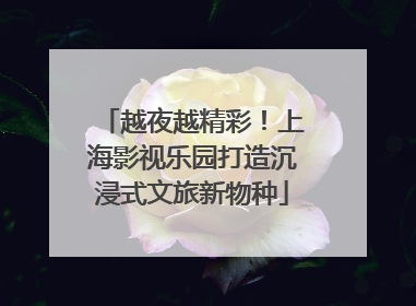 越夜越精彩！上海影视乐园打造沉浸式文旅新物种