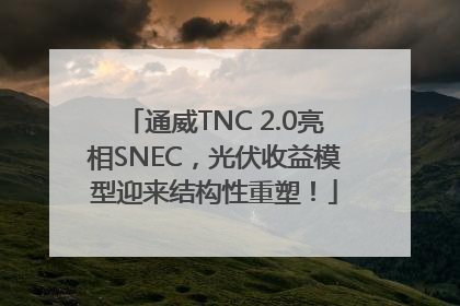 通威TNC 2.0亮相SNEC，光伏收益模型迎来结构性重塑！