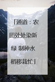 通道：农田处处染新绿 制种水稻移栽忙