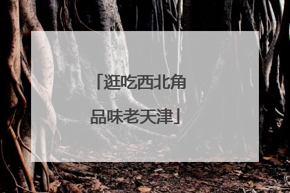 逛吃西北角 品味老天津