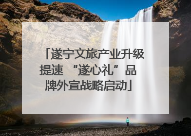 遂宁文旅产业升级提速 “遂心礼”品牌外宣战略启动