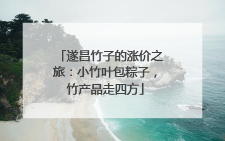 遂昌竹子的涨价之旅：小竹叶包粽子，竹产品走四方