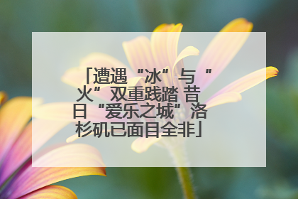 遭遇“冰”与“火”双重践踏 昔日“爱乐之城”洛杉矶已面目全非