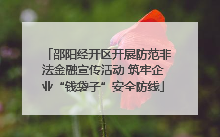 邵阳经开区开展防范非法金融宣传活动 筑牢企业“钱袋子”安全防线