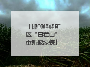 邯郸峰峰矿区“白茬山”重新披绿装