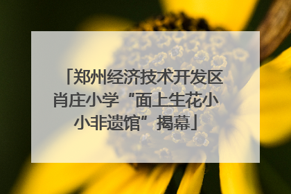 郑州经济技术开发区肖庄小学“面上生花小小非遗馆”揭幕