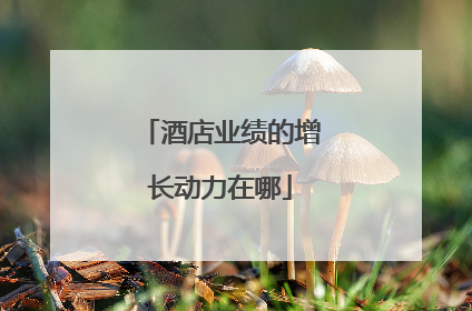 酒店业绩的增长动力在哪