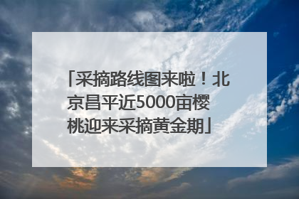 采摘路线图来啦！北京昌平近5000亩樱桃迎来采摘黄金期