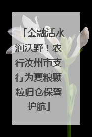 金融活水润沃野！农行汝州市支行为夏粮颗粒归仓保驾护航