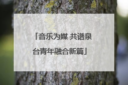 音乐为媒 共谱泉台青年融合新篇